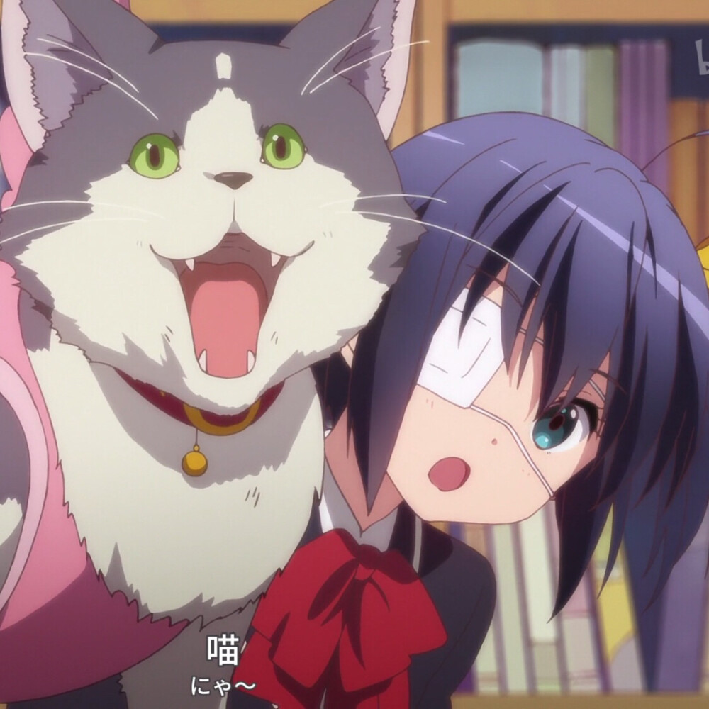 堆糖,美图壁纸兴趣社区