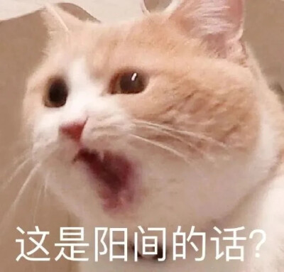 表情包