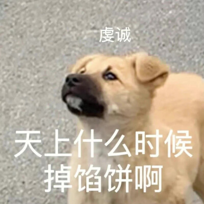 可爱 搞怪 表情包 图