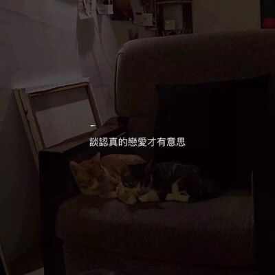 日记里写满lonely.