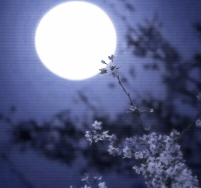 雪允套图 已微调
站子cr.nightfalls0126
