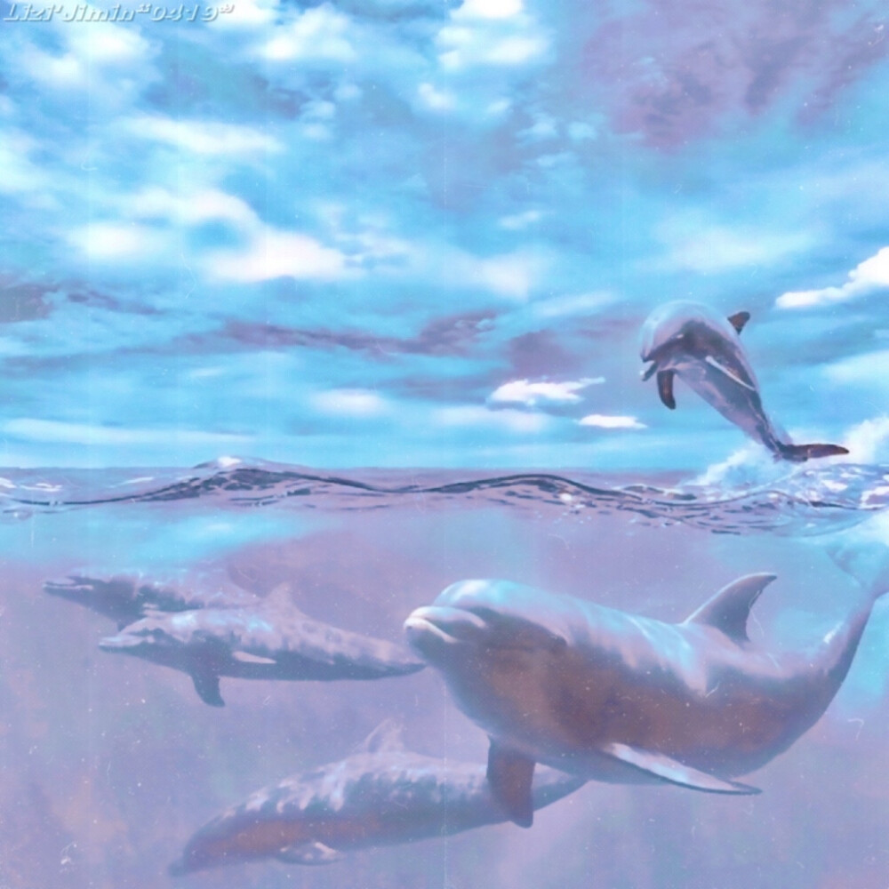 : 将记忆的琴弦回拨到去年_
（这组色彩饱和度太高了哈哈哈）