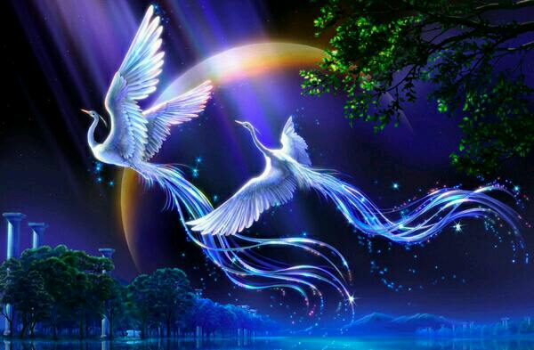 ₍˄·͈༝·͈˄*₎◞ ̑̑