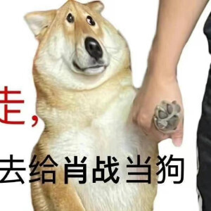 双眠 关注 一些肖战表情包 #肖战 #表情包 #小飞侠 赞 评论 收藏 更多