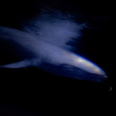 《：Paradise Lost》Couper la tête et adorer la Lune noire^海姆冥界
原BTS_metoo