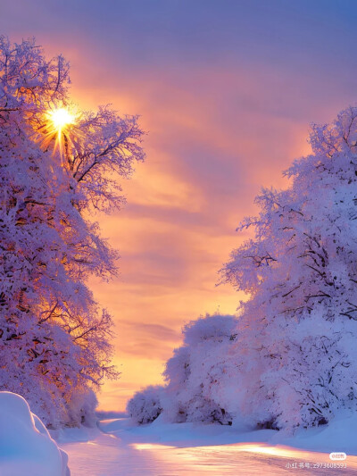 雪景