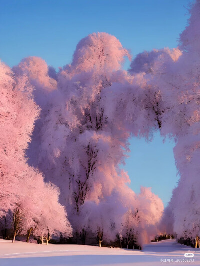 雪景