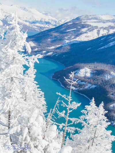 雪景