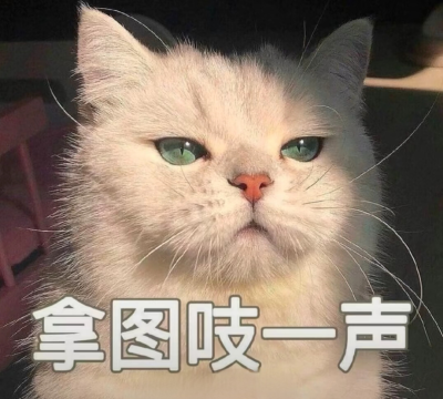 真人女生头像ฅ՞•ﻌ•՞ฅ