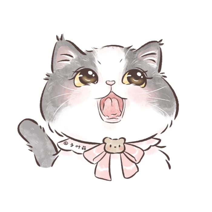 小猫咪！
