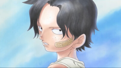 Ace Luffy Garp