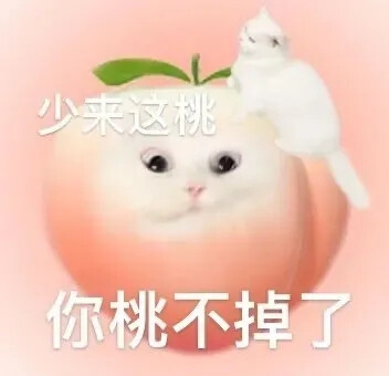 小猫表情包