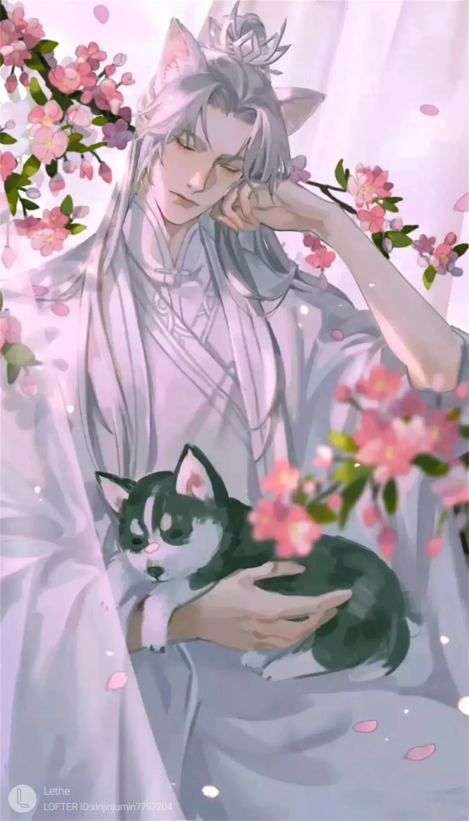 二哈和他的白猫师尊