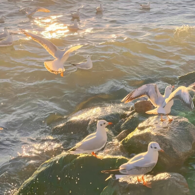 微信背景图