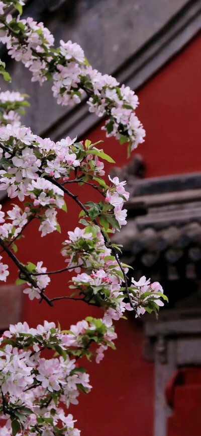 治愈风景壁纸