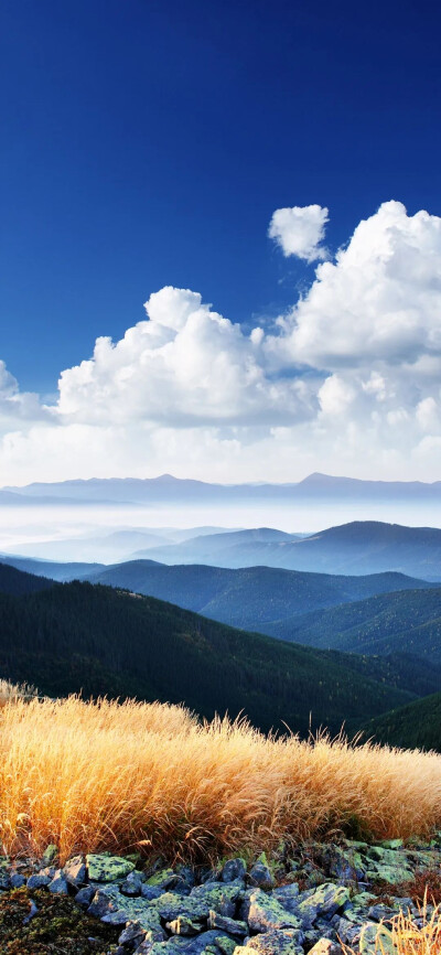 治愈风景壁纸