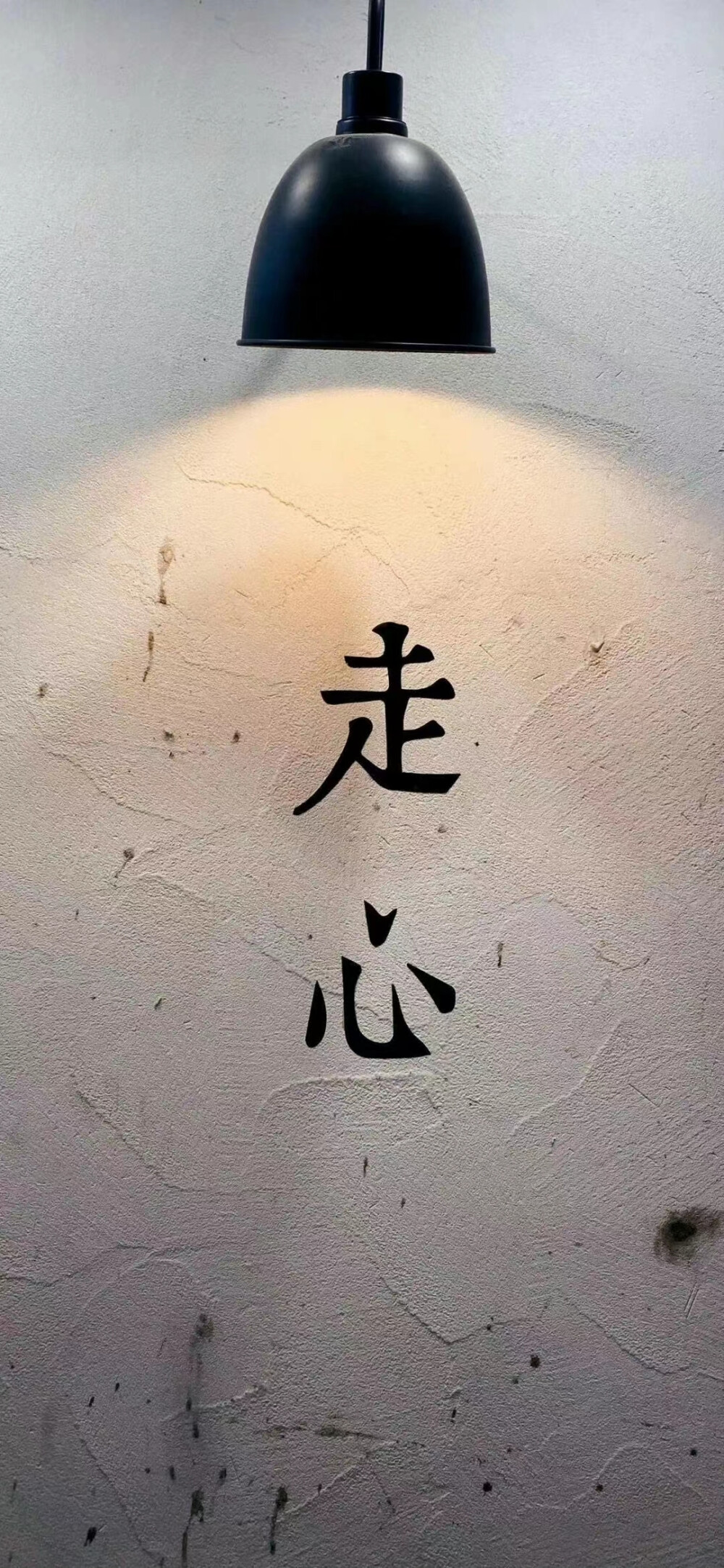 天天