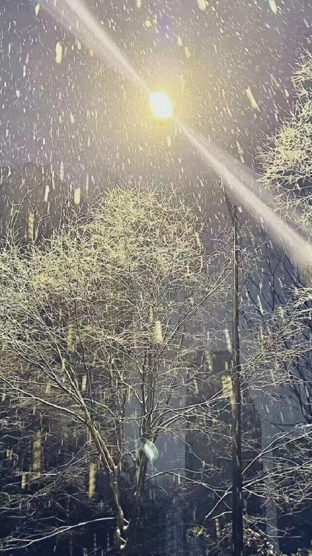 雪景