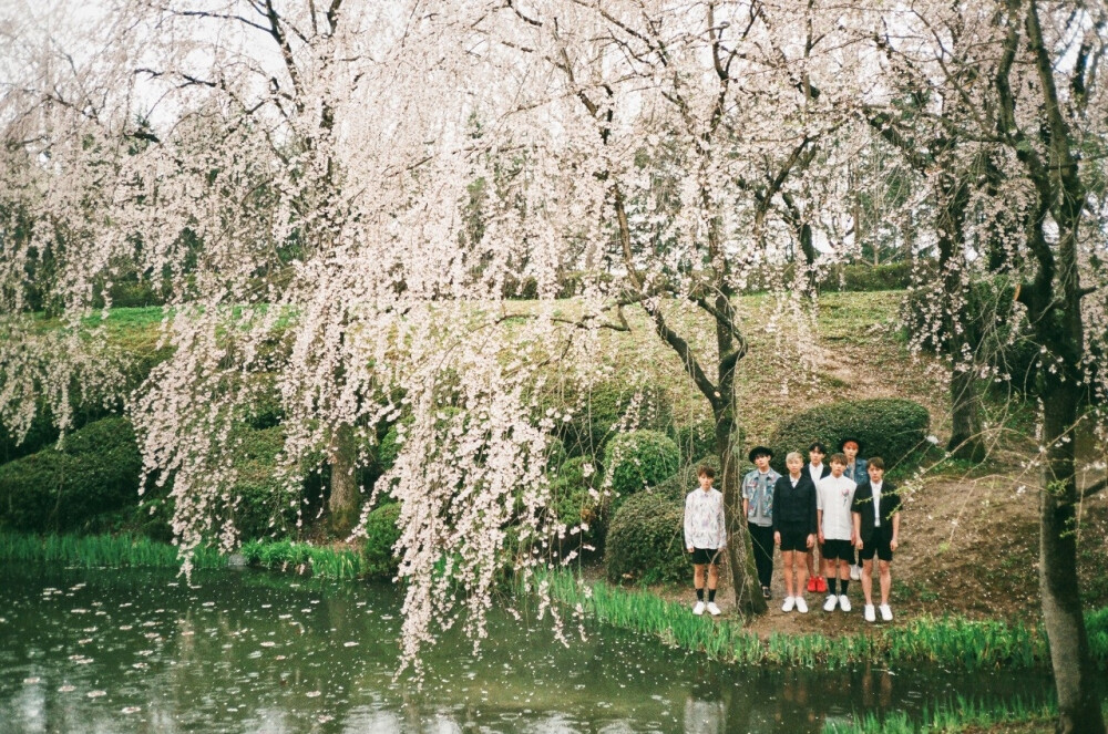 防弹少年团 花样年华