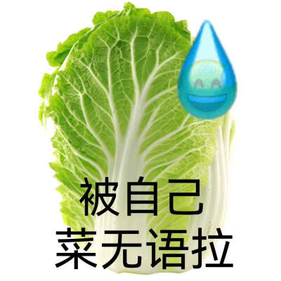 表情包