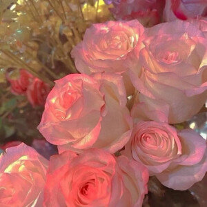 玫瑰花氛围感背景图
“玫瑰到了花期，我很想你。”
想要的一个赞带走٩(˃̶͈̀௰˂̶͈́)و
2022年㋋㏻㍢