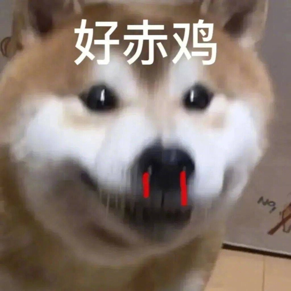 沙雕柴犬表情包