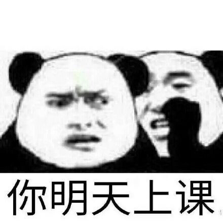 网课表情包