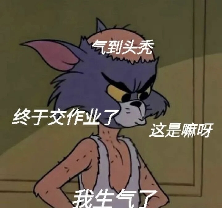 网课表情包