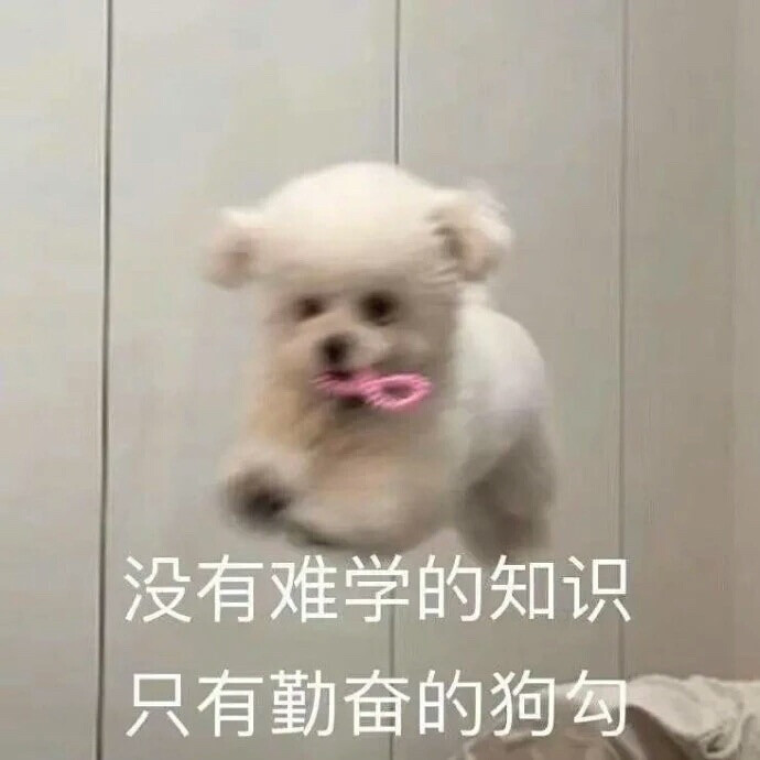 网课表情包