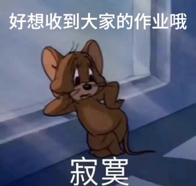 网课表情包