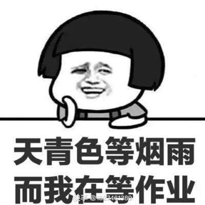 网课表情包