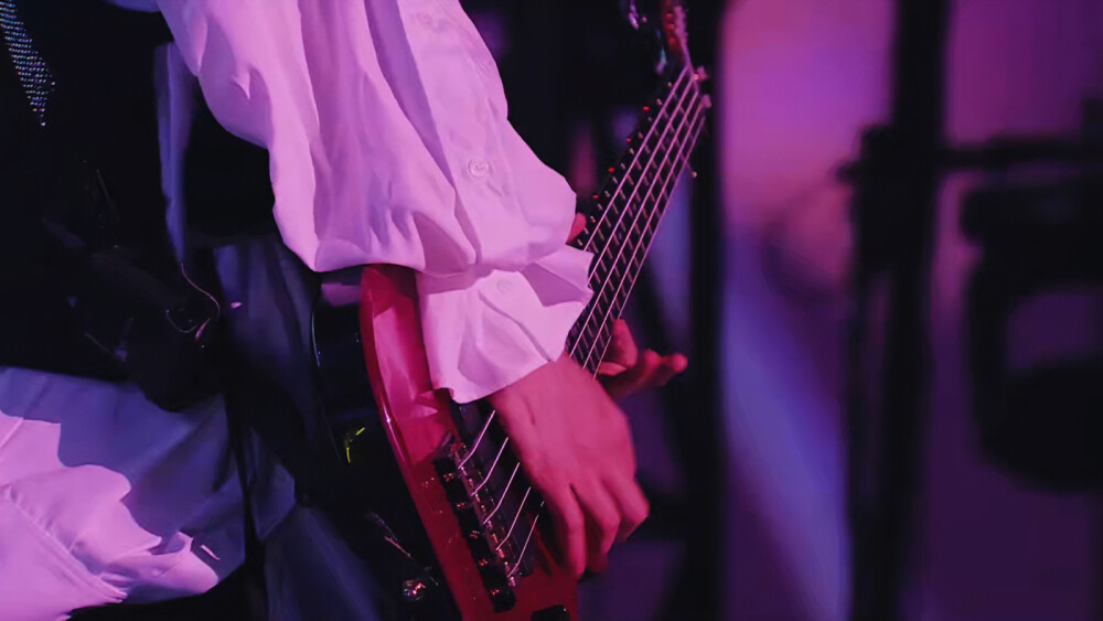 30th L'Anniversary LIVE