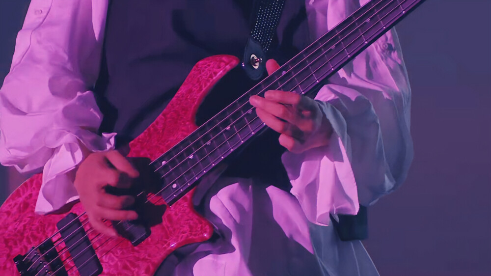 30th L'Anniversary LIVE