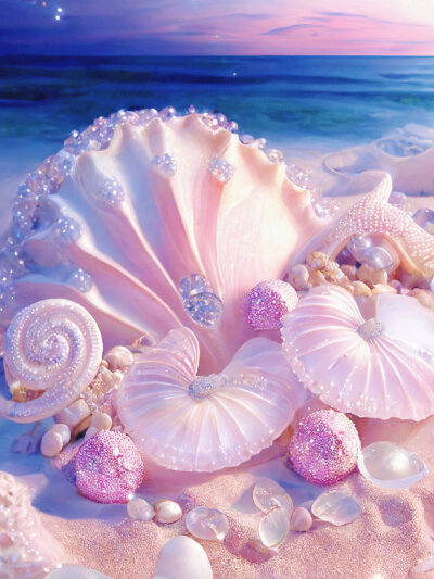 粉色贝壳，你心动了吗？