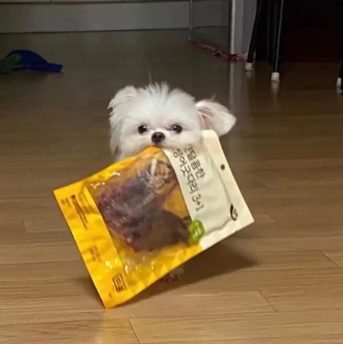 可爱的动物头像，超级好看