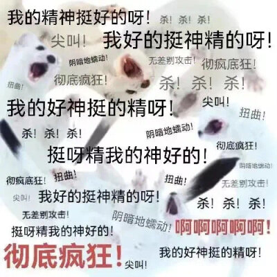 你说气话～表情包