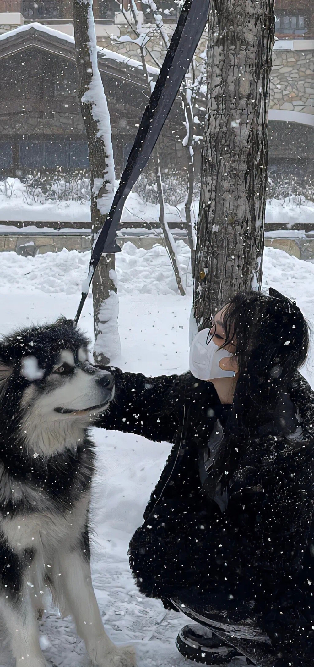  雪景壁纸
