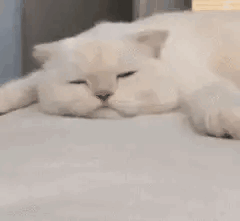 口袋里钞票的颜色决定今天的心情