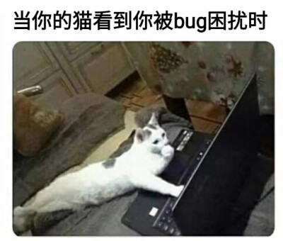 我哭了很久