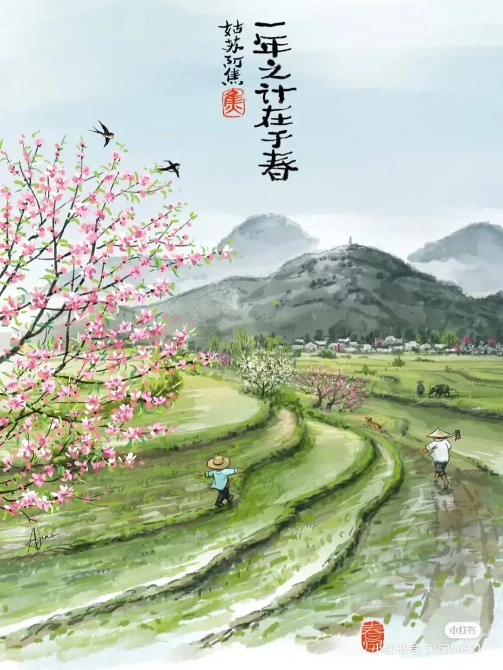 姑苏阿焦