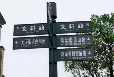 楼姐必备