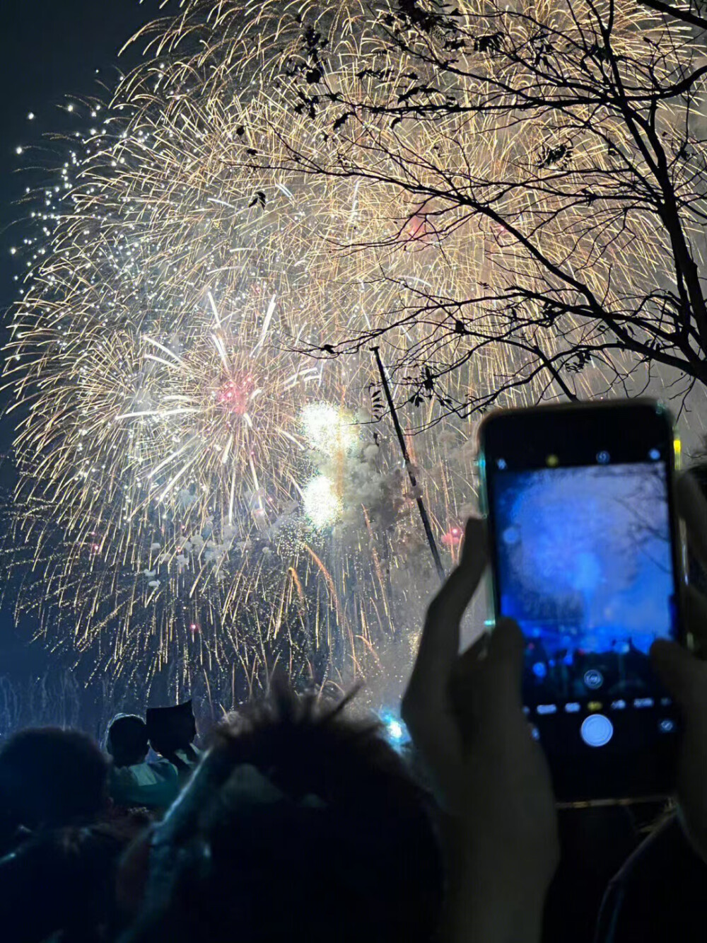 大家新年快乐 万事如意