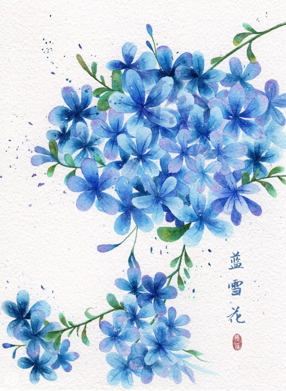 花壁纸