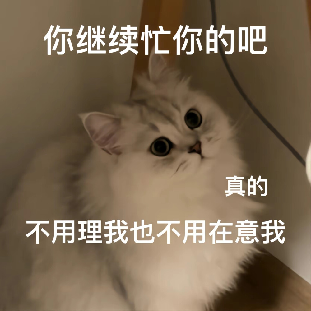 表情包