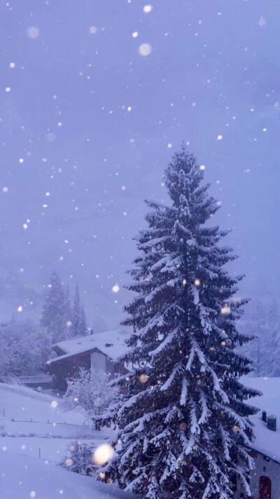 雪景背景图～