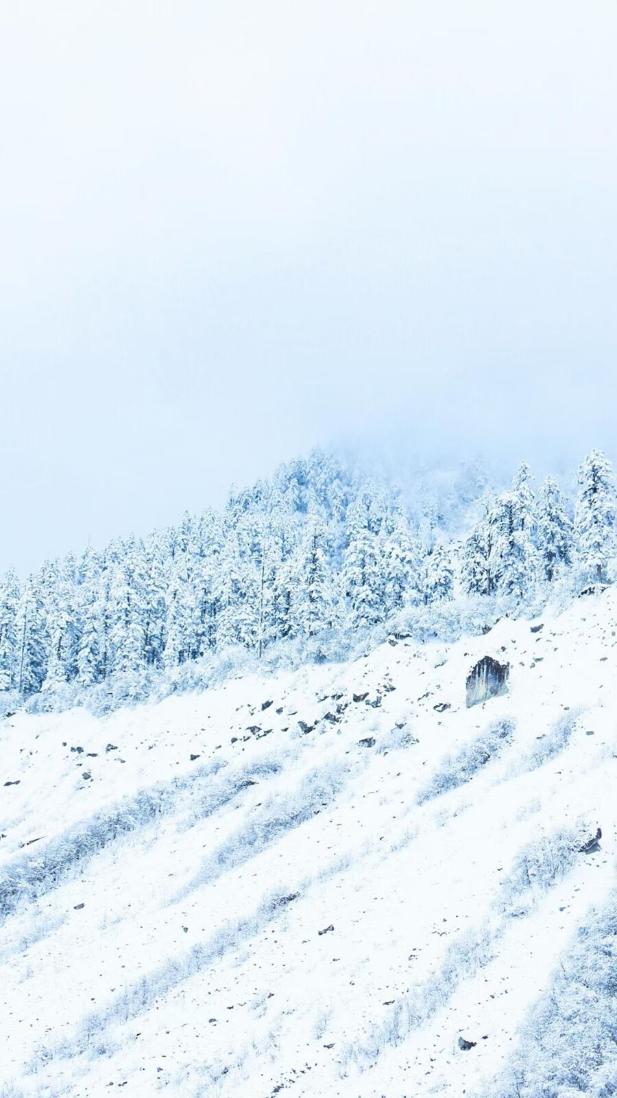 日本雪景手机壁纸图片