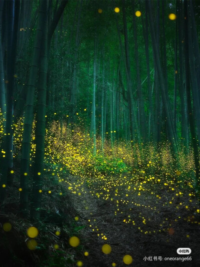 素材
来源于某红书