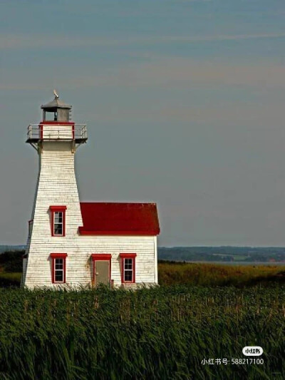 素材
来源于某红书