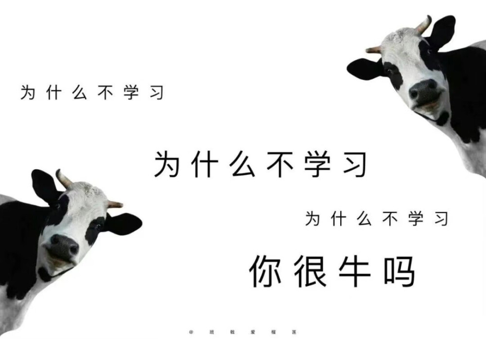 iPad壁纸·文字系列
烟火向星辰，许愿皆成真