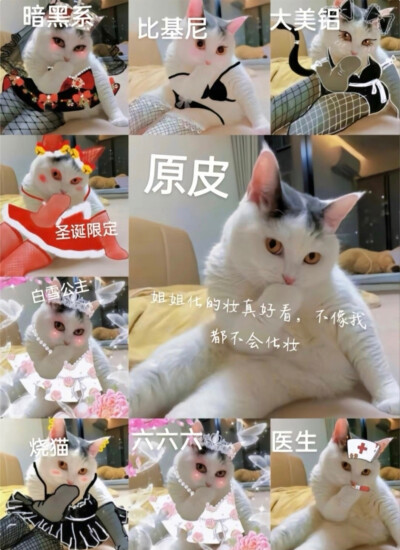 烧猫表情包